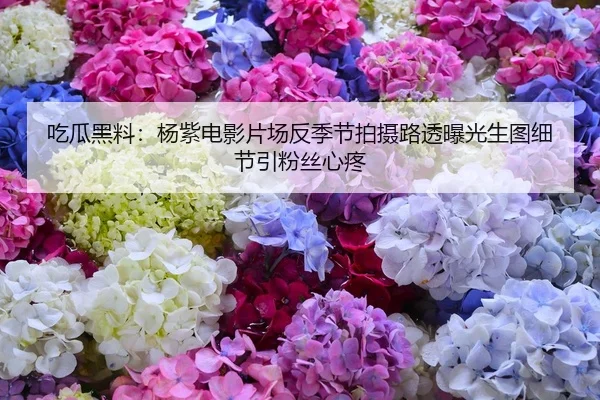 吃瓜黑料：杨紫电影片场反季节拍摄路透曝光生图细节引粉丝心疼